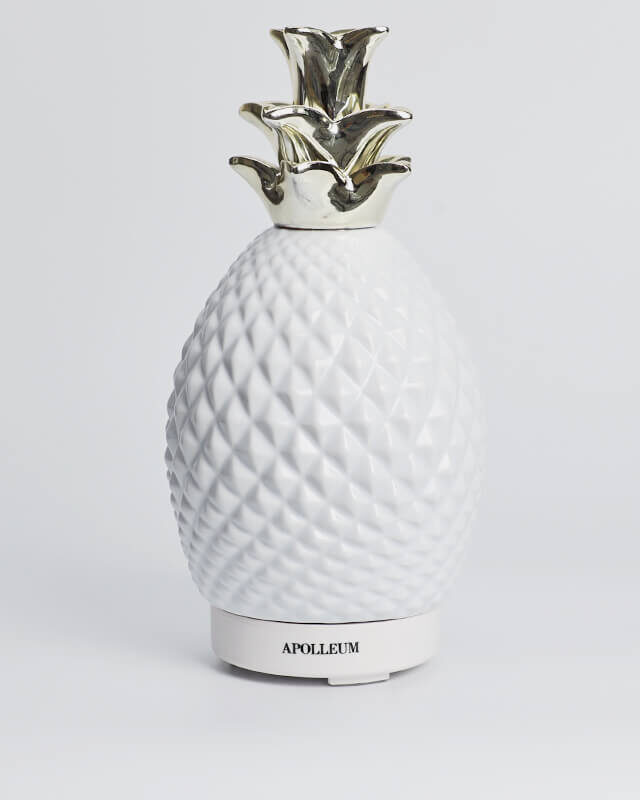 Apolleum ceramic diffuser white background