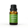 Patchouli Essential Oil Apolleum