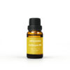 Pure Helichrysum Essential Oil 15ml - Apolleum