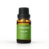 Thyme Essential Oil Apolleum