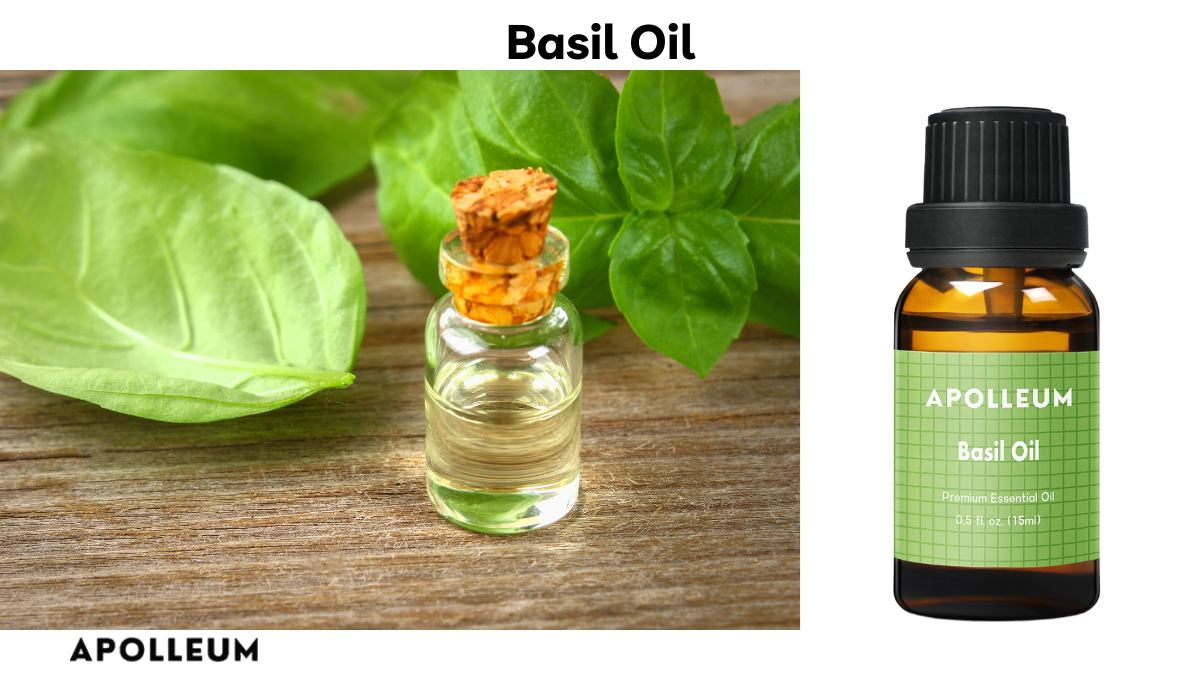 Basil Oil