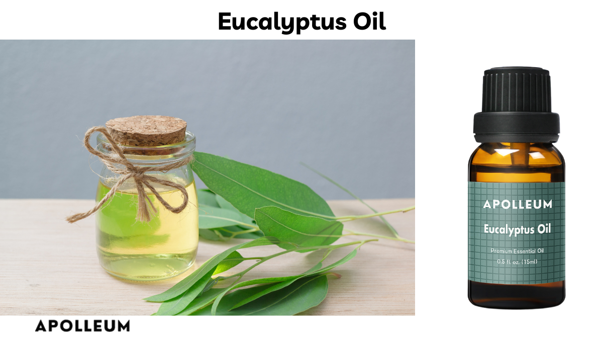 Eucalyptus Oil