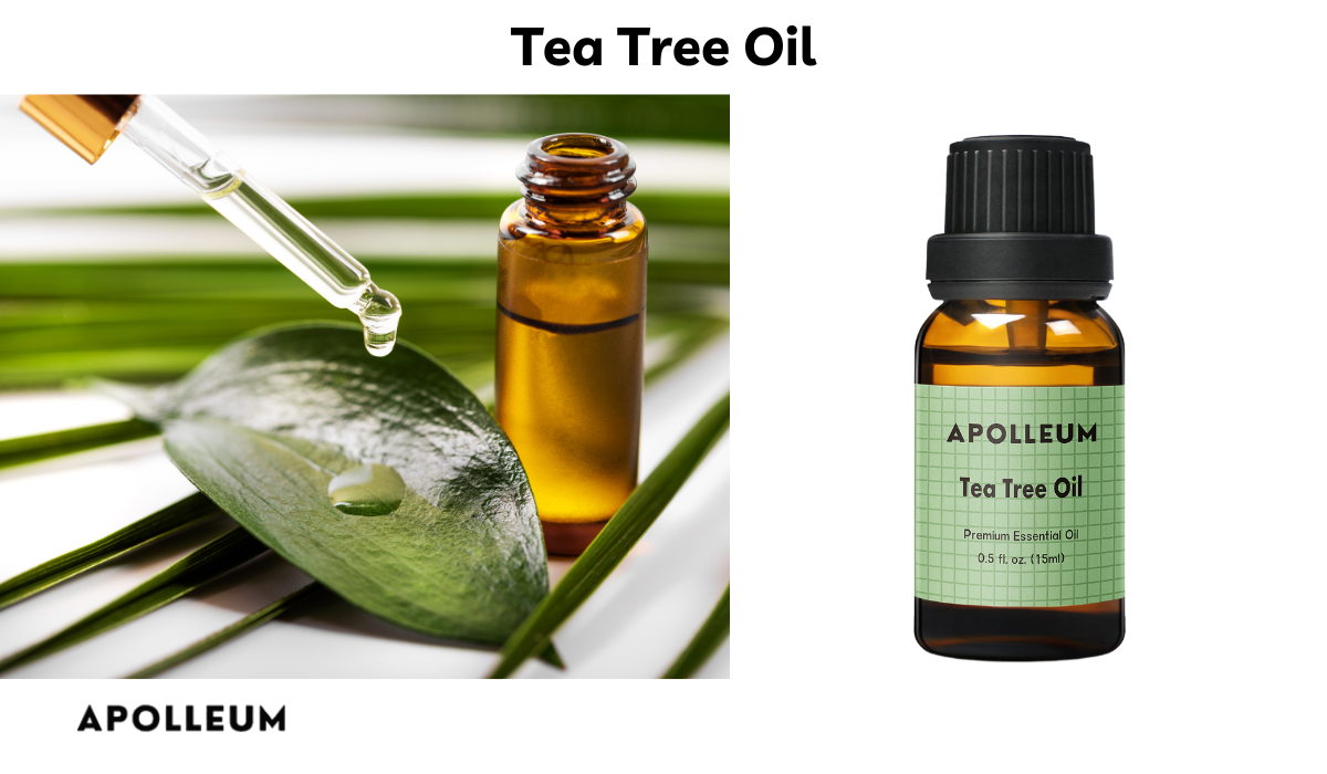 Tea Tree Oil