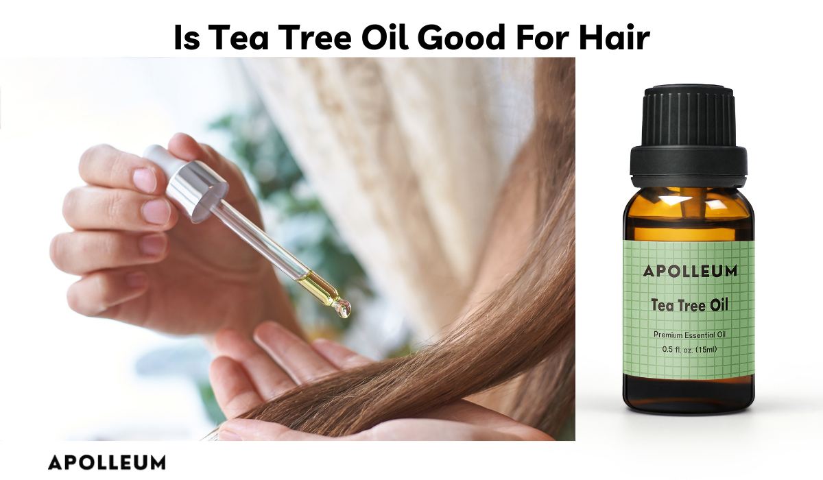 Is Tea Tree Oil Good For Hair